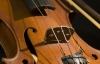  США похитили скрипку Страдивари стоимостью 3 млн долларов