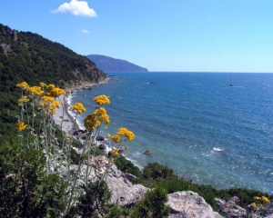 Крим забрав українські водні підприємства