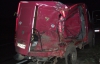На Рівненщині через кота розбилося 2 автомобілі та загинула людина