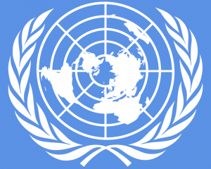 Жодна країна Радбезу ООН не підтримала Росію