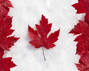 Канада бойкотує саміт Арктичної ради у Москві