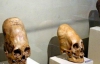 В Антарктиде обнаружены человеческие удлиненные черепа