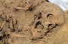 У Львові археологи знайшли масове поховання в'язнів пересильної в'язниці
