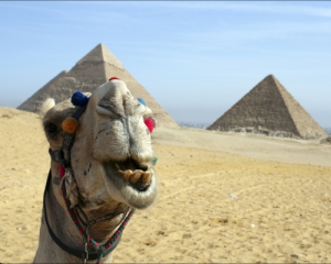 Египет подорожал: туристы будут платить налог