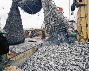 Кримські рибалки втратили роботу