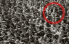 Смельчак, не отдавший честь Гитлеру и еще 31 фото "исторического порно"