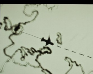 Художниця намалювала на піску падіння Боїнга 777