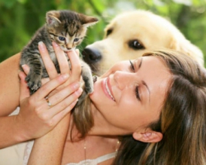 Кошки и собаки: исследователи выяснили в каких странах кому отдают предпочтение