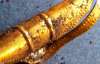 4000-летнее золотое украшение эпохи неолита нашли в Великобритании