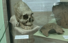 1500-летние яйцеголовые черепа воинов нашли в Сибири
