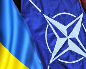 НАТО не підтримає бойовою силою Україну - АПУ
