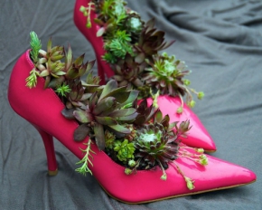 Вазони висаджують у туфельках, віниках і самоварах