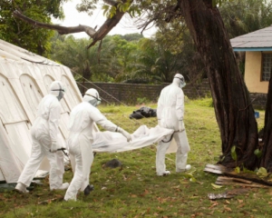 Назвали кількість жертв лихоманки Ебола