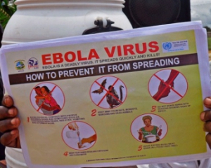 В США разработаны два новых теста для выявления Эболы