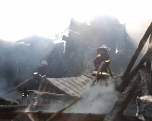 Во время пожара во Львове сгорело 40 шиншилл