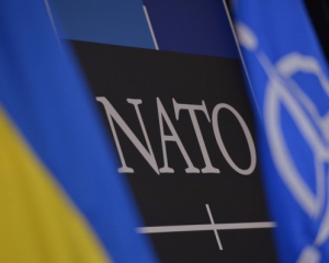 Вступ України в НАТО залежить від народу - держдеп США