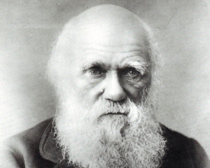 155 років тому Чарльз Дарвін опублікував свою епохальну працю &quot;Походження видів&quot;
