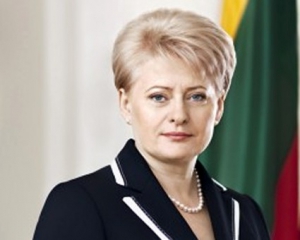 Литва поможет Украине с вооружением и поделится опытом проведения реформ