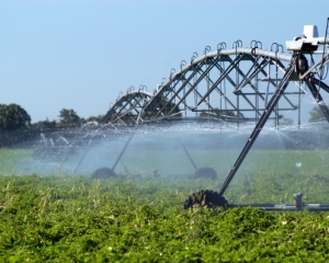 В Крыму признали, что без воды из Днепра сельское хозяйство загнется