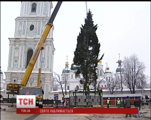 В столице на Софийской площади установили 84-летнюю елку