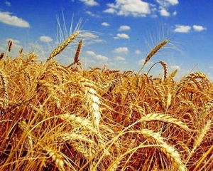 США частково замістить російську пшеницю українською і європейською