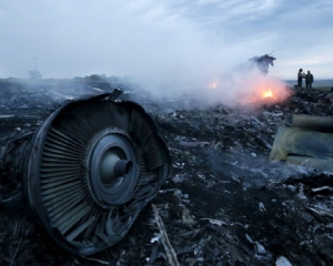 Малазийский "Боинг" был сбит российским "Буком" - прокуратура Нидерландов