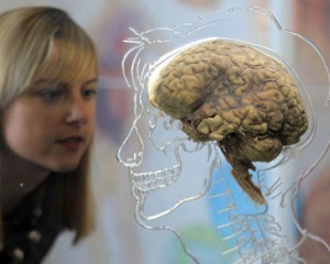 Людський мозок досяг межі свого розвитку