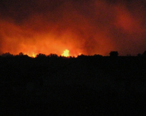ДержНС: Чорнобильський ліс можливо підпалили