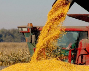 Днями Україна поб&#039;є власний рекорд по експорту зерна - Мінагрополітики