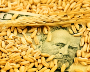 Украина должна продавать готовые продукты, а не аграрное сырье - Яценюк