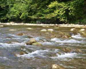 В річках Закарпаття очікується незначне підняття рівня води - ДСНС