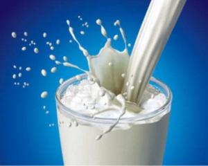 АМКУ проверит цены на молоко