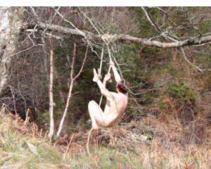 Неудачный перформанс: голая норвежская художница застряла на дереве