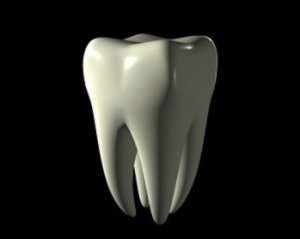 Во Франции нашли человеческий зуб, которому 560 тысяч лет