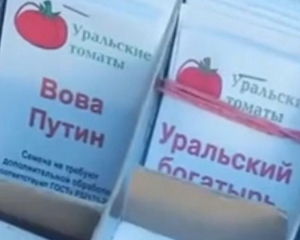 &quot;Вова Путин&quot; - в Росії вивели новий сорт низькорослих помідорів