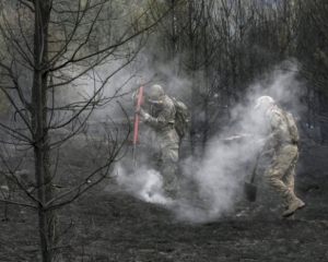Пожежу в лісі під Києвом ліквідували -  ДСНС