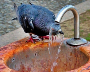 У п'ятницю в Україну повертається спека