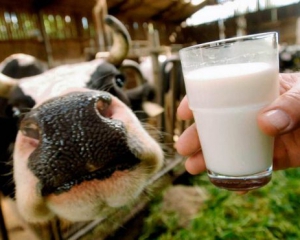 Китай дозволив 18 українським компаніям поставляти молочку
