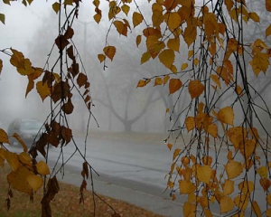 В Україні різко похолодає із середи