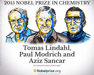 Нобелівську премію з хімії присудили за вивчення ДНК