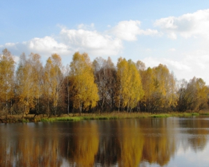 Крытые бассейны, сауны и охота - 5 мест, где можно с размахом отдохнуть осенью на Черкасщине
