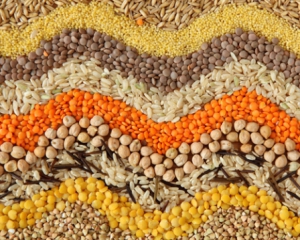 Чиновники заважають Україні освоювати нові ринки ЄС - Павленко