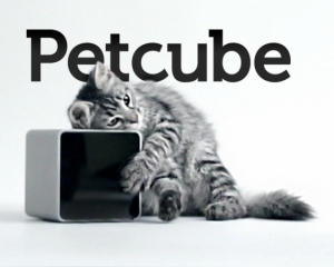 Український гаджет для домашніх улюбленців підкорює світ