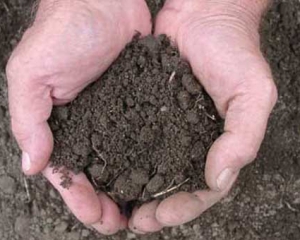 Продаж землі знищить Україну - фермер