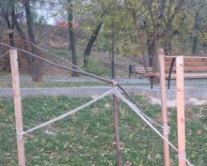 В Одессе поломали деревья, высаженные в честь Небесной сотни