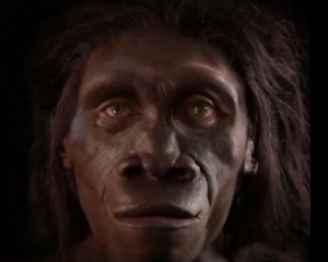 Вчені показали, як змінювалося обличчя людини за 6 мільйонів років