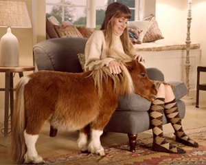 Шотландский пони из рекламы Amazon тронул пользователей соцсетей