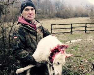 На Закарпатье экс-регионал застрелил собаку лесника - СМИ