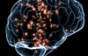 За уровень интеллекта и эпилепсию отвечают одни и те же гены