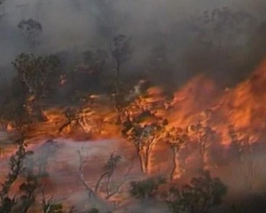 Природні пожежі паралізували життя кількох містечок на півдні Австралії